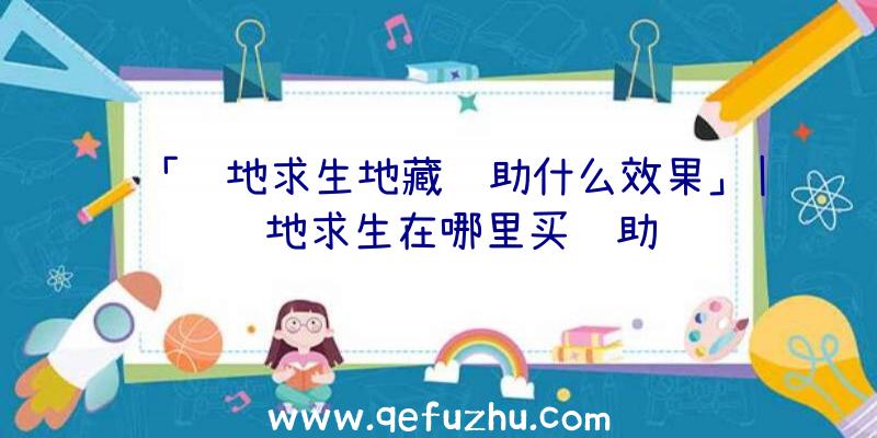 「绝地求生地藏辅助什么效果」|绝地求生在哪里买辅助